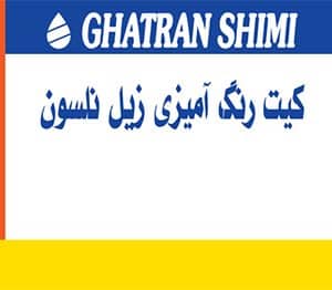 کیت رنگ‌آمیزی زیل-نلسون